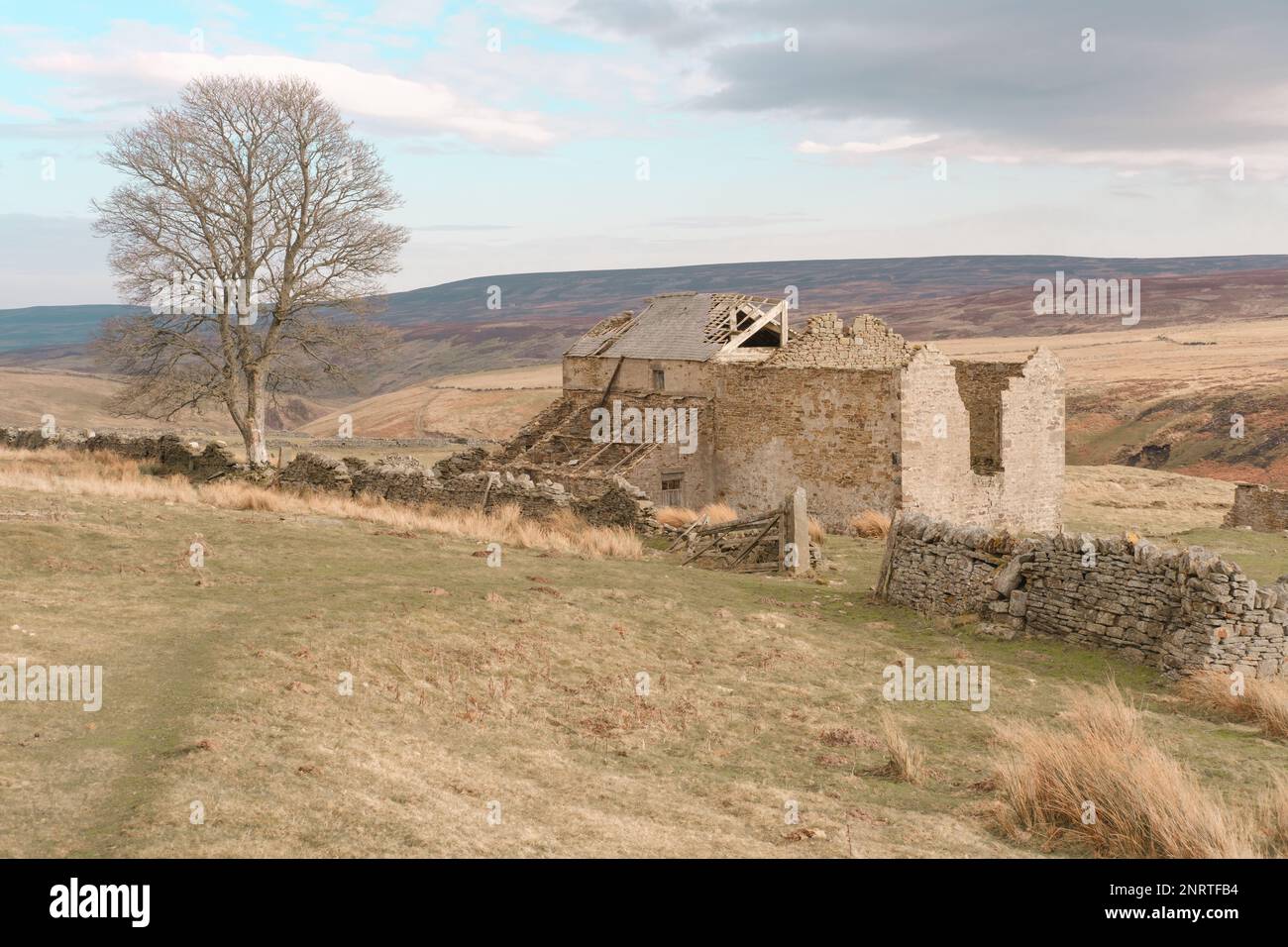 Verlassene Hill Farm in den Durham Moors im Edmunbyers Common County Durham Stockfoto