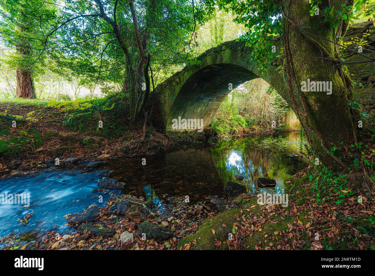 Alte Steinbogenbrücke über einen Fluss im Wald Stockfoto