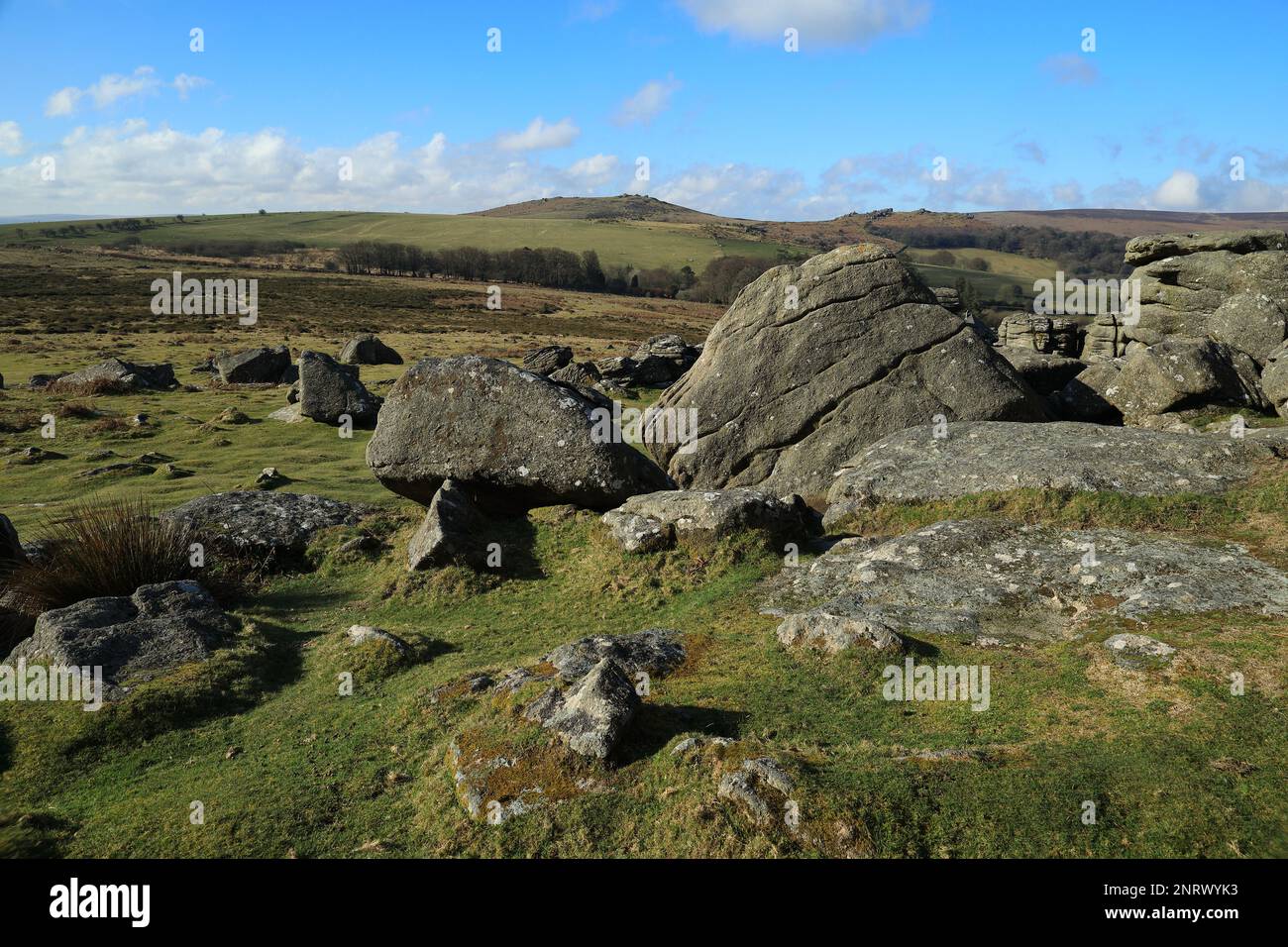 Frühlingsblick vom Hound Tor in Richtung Honeybag Tor. Dartmoor, Devon, England, Großbritannien Stockfoto