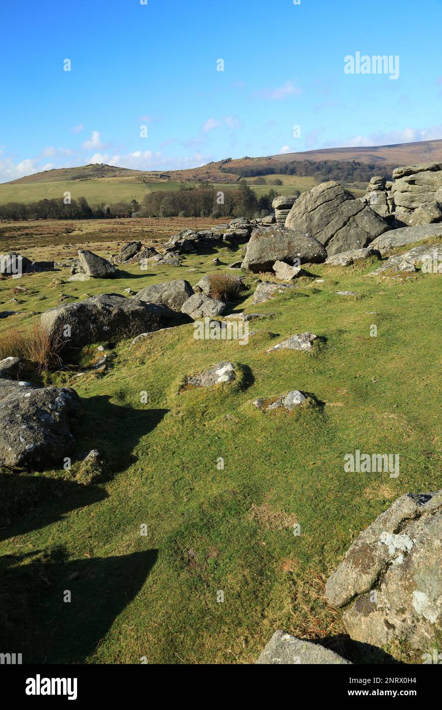 Frühlingsblick vom Hound Tor in Richtung Honeybag Tor. Dartmoor, Devon, England, Großbritannien Stockfoto