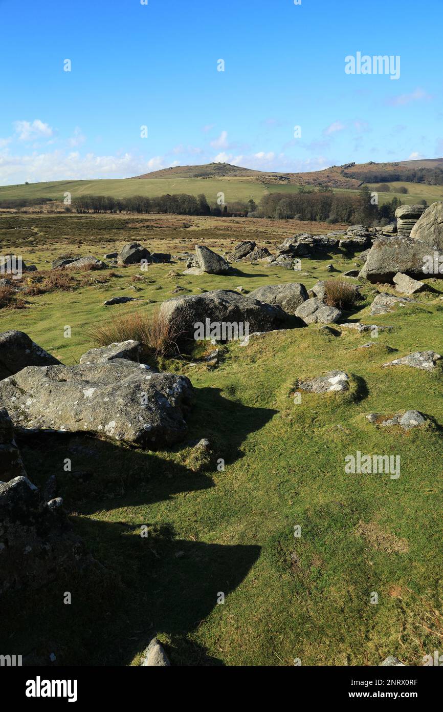 Frühlingsblick vom Hound Tor in Richtung Honeybag Tor. Dartmoor, Devon, England, Großbritannien Stockfoto