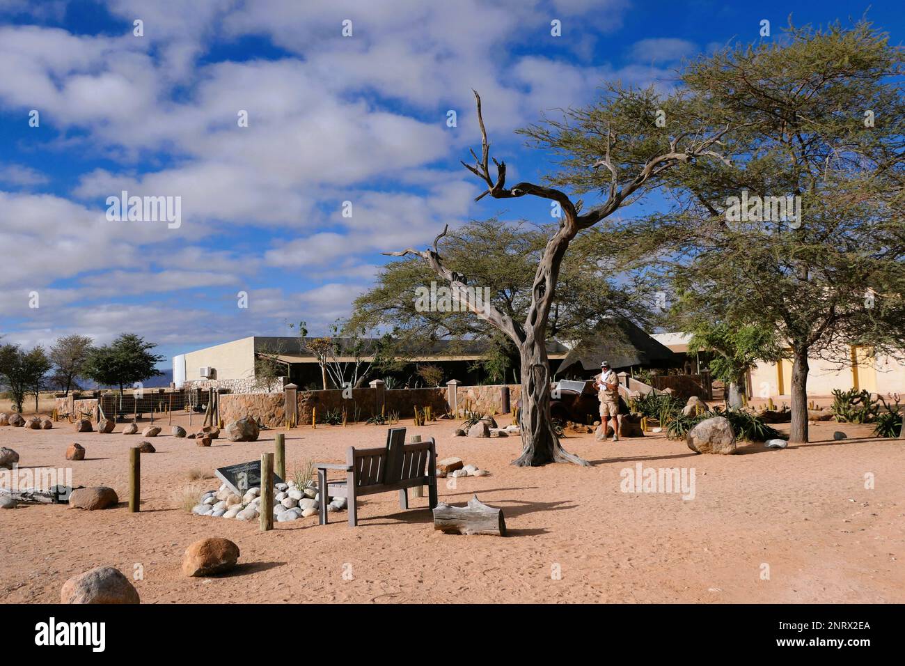 Habitatkonservierung Solitaire in Namibia Stockfoto