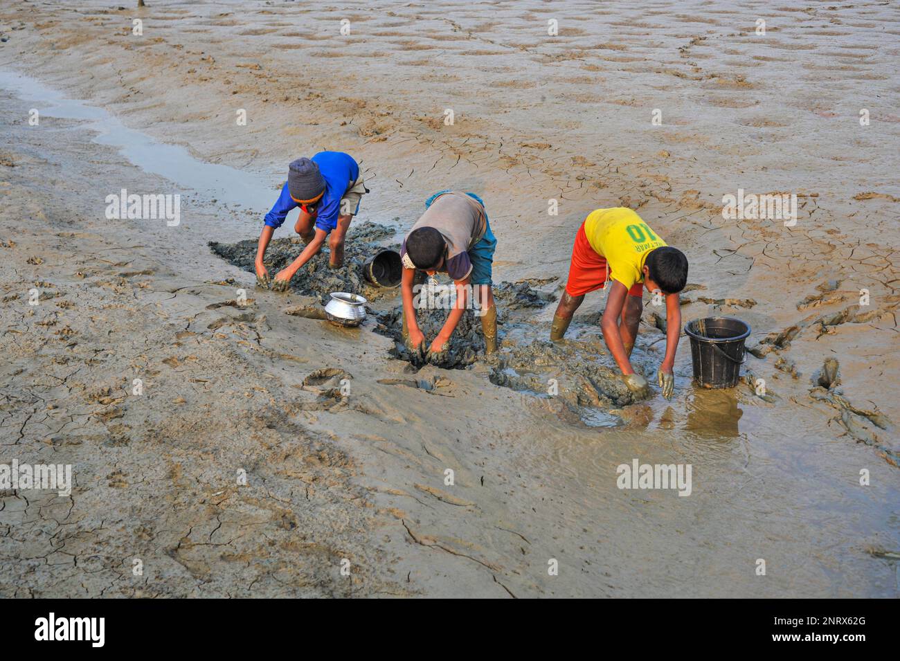 Nicht exklusiv: 27. Februar 2023 in Sylhet-Bangladesch: Ländliche Kinder sammeln Fische mit den Händen aus dem Schlamm. Während alle Dorfbewohner beschäftigt sind Stockfoto