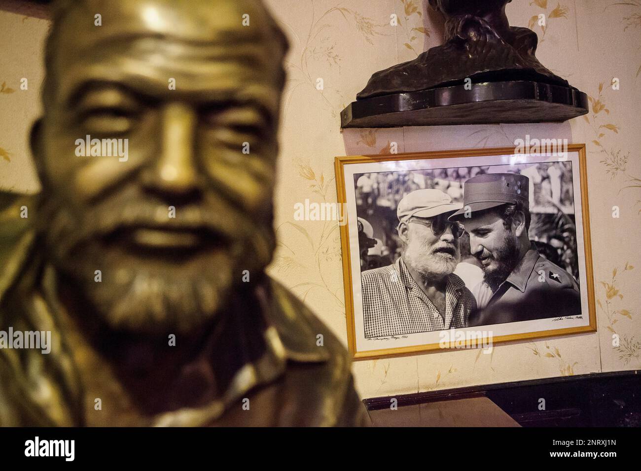 Ernest Hemingway in seinem Favorit Bar, genannt Floridita Statue. Und ein Foto von Ernest Hemingway und Fidel Castro, Habana Vieja, La Habana, Kuba Stockfoto