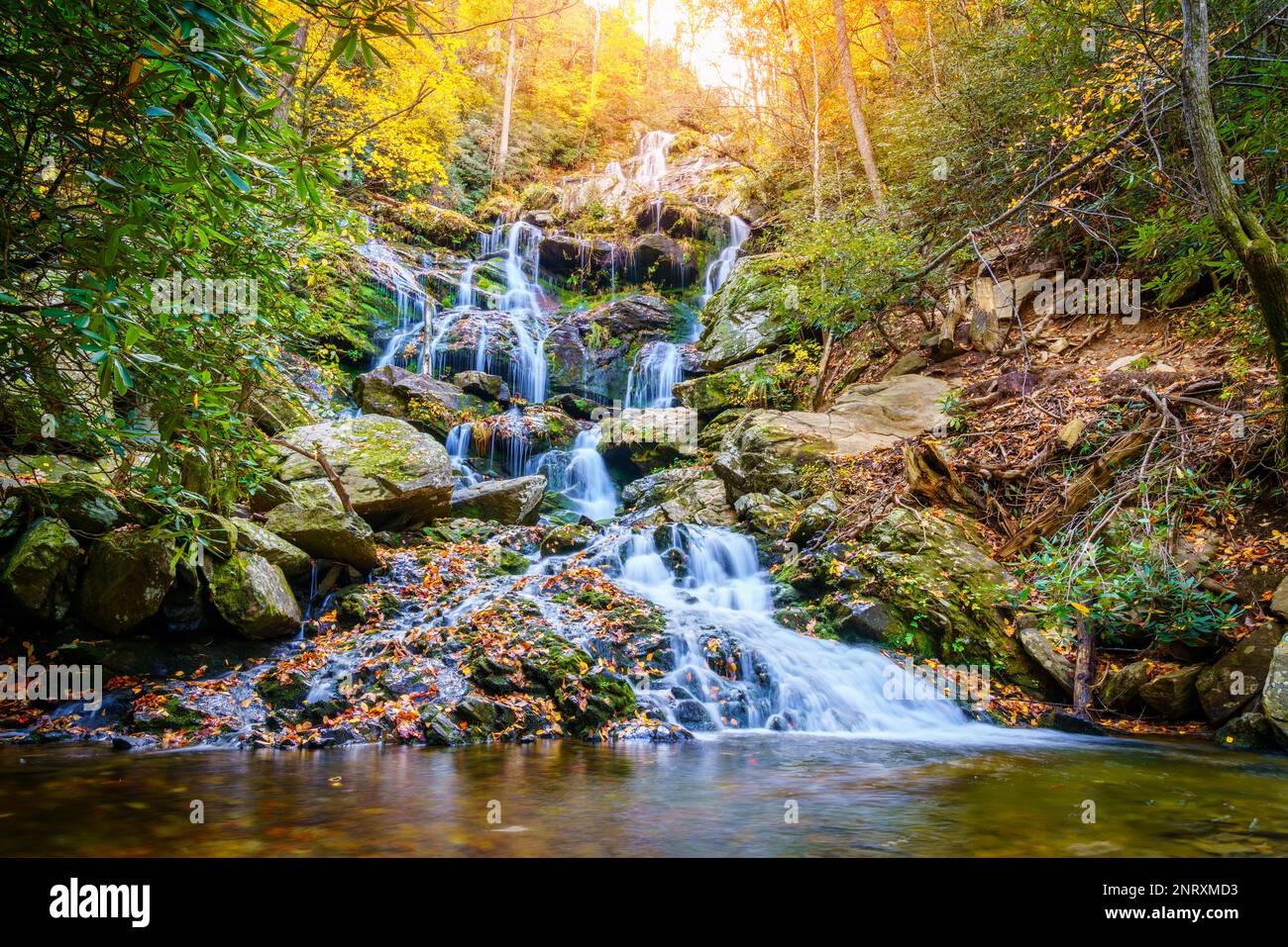 Malerischer Blick auf die Catawba Falls im Pisgah National Forest bei Asheville, North Carolina Stockfoto