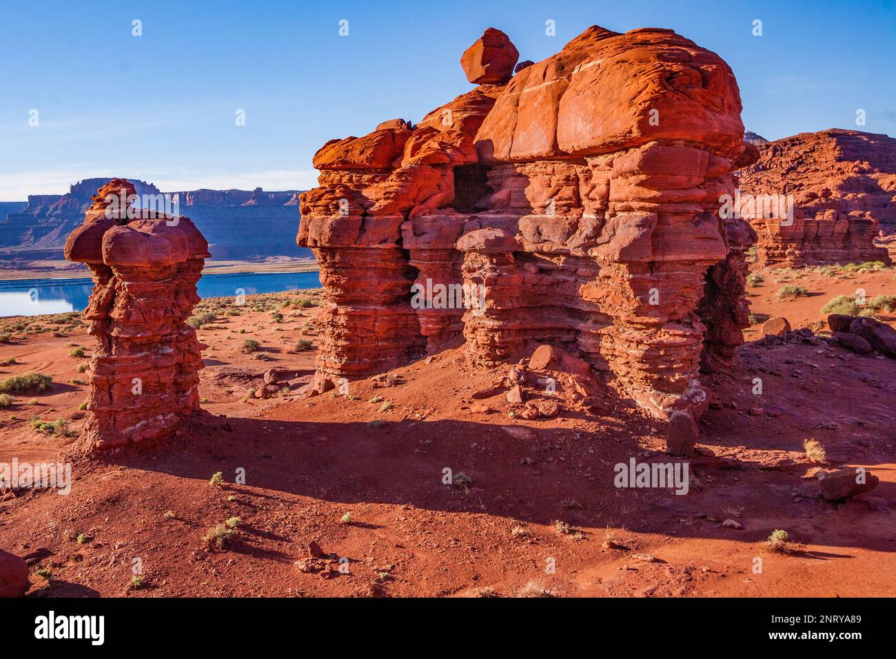 Gestreifte Sandsteinformationen von Cutler entlang des Shafer Trail bei Moab, Utah. Es wird angenommen, dass die weißen Streifen durch organische Einschlüsse in verursacht werden Stockfoto