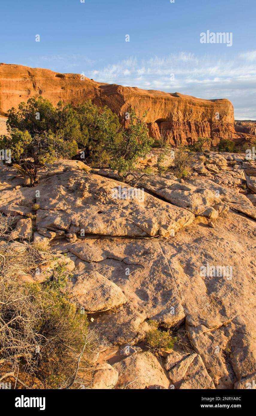 Navajo-Sandstein im Vordergrund mit den Entrada-Sandsteinklippen von Big Mesa im Bereich der Navajo Rocks bei Moab, Utah. Stockfoto