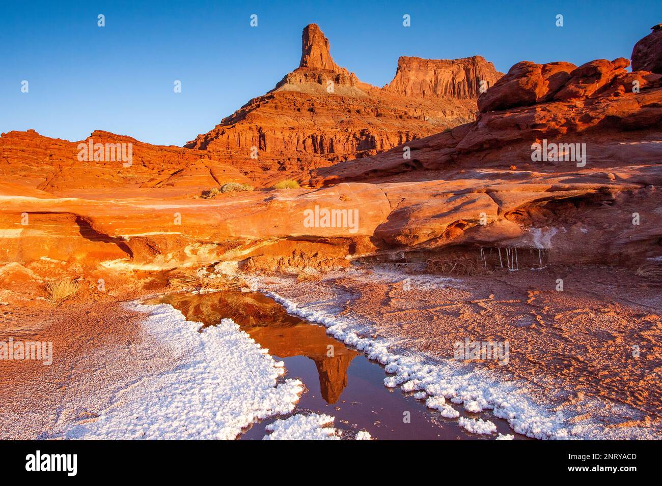 Ein Sandstein butte spiegelt sich im Wasser eines Mineral Seep wider, wobei sich am Rand Mineralsalzkristalle bilden. Stockfoto