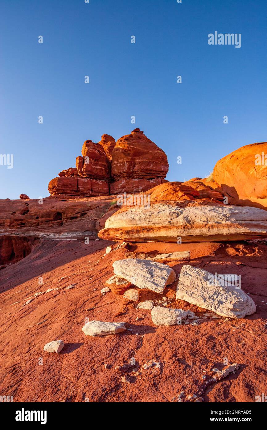 Gestreifte Sandsteinformationen von Cutler entlang des Shafer Trail bei Moab, Utah. Es wird angenommen, dass die weißen Streifen durch organische Einschlüsse in verursacht werden Stockfoto