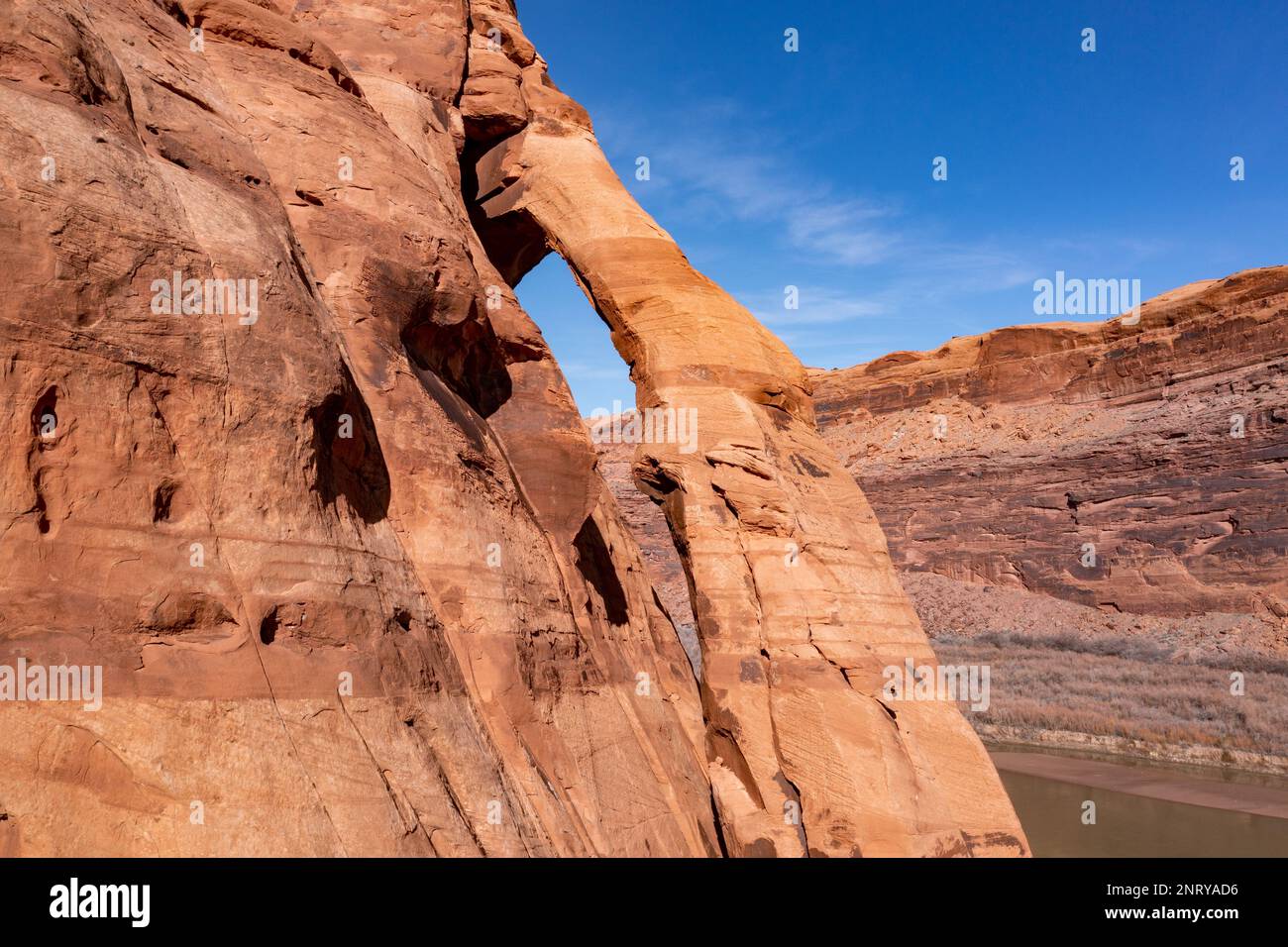 Aus der Vogelperspektive bietet sich der Jug Handle Arch an, ein fast vertikaler Bogen aus Wingate Sandstein am Colorado River bei Moab, Utah. Der Bogen ist auf der Lower Colorado Ri Stockfoto