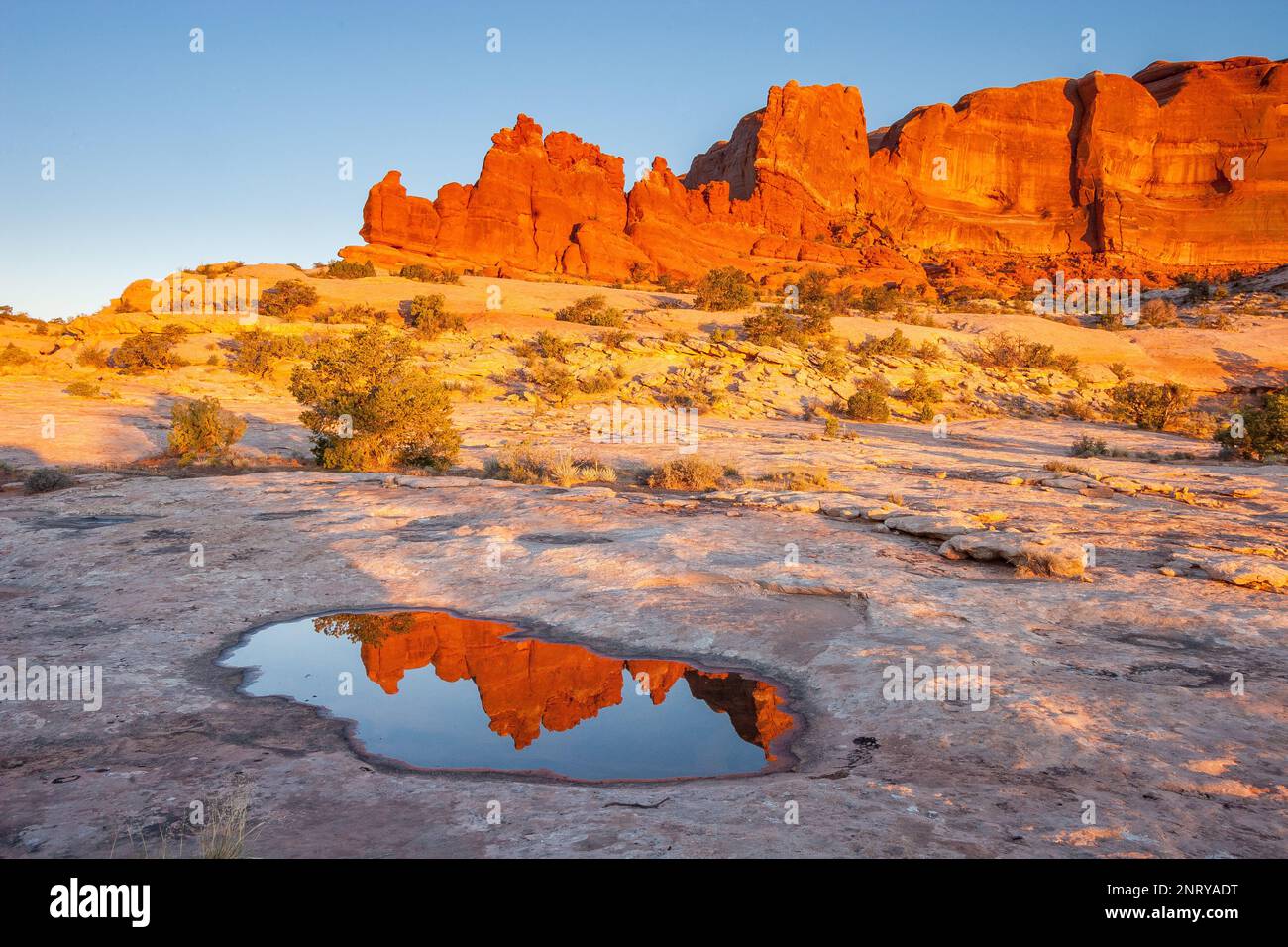 Die Entrada-Sandsteinformationen der Navajo-Felsen spiegeln sich in einem temporären Pool in Navajo-Sandstein bei Moab, Utah, wider. Stockfoto