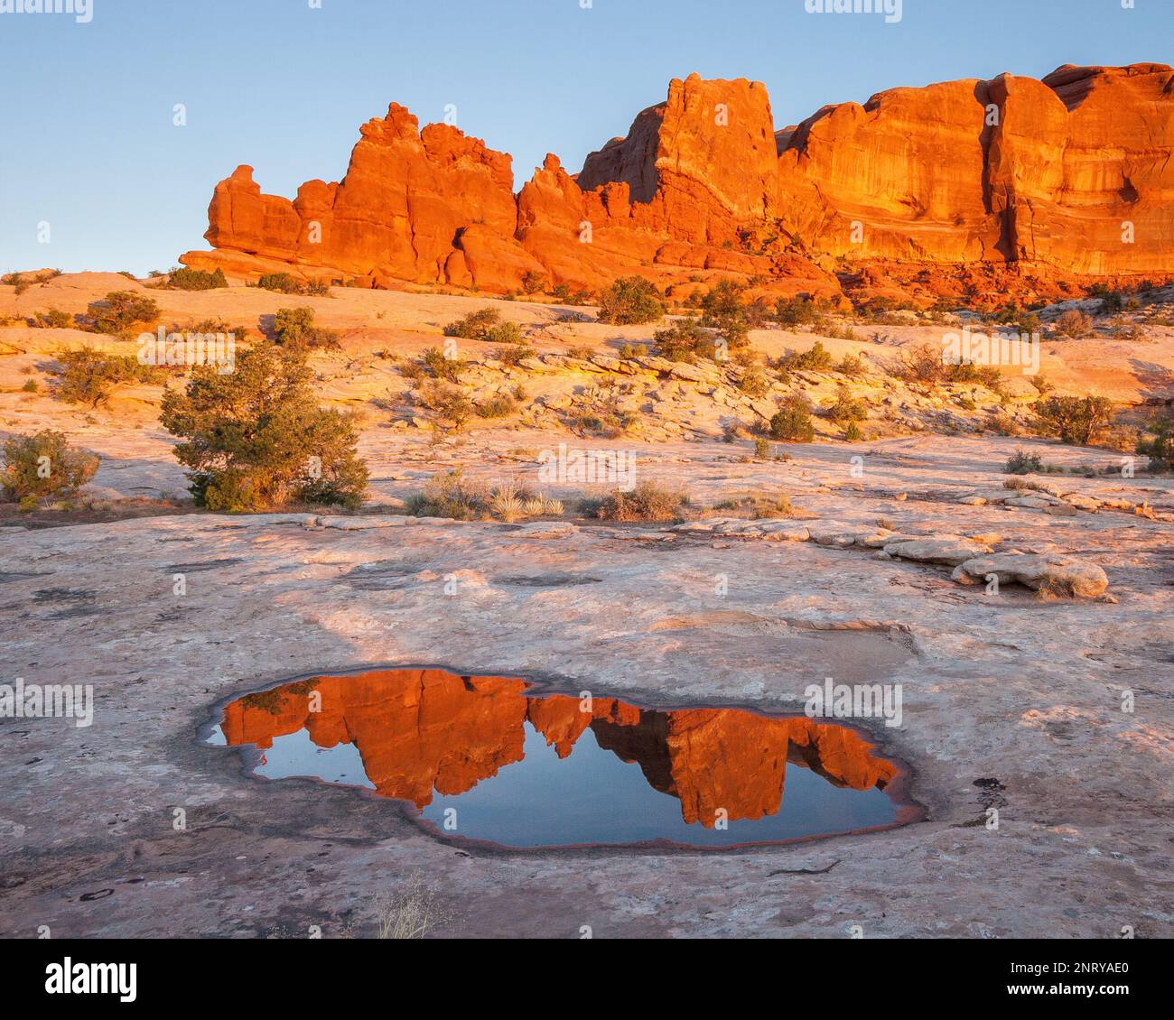 Die Entrada-Sandsteinformationen der Navajo-Felsen spiegeln sich in einem temporären Pool in Navajo-Sandstein bei Moab, Utah, wider. Stockfoto