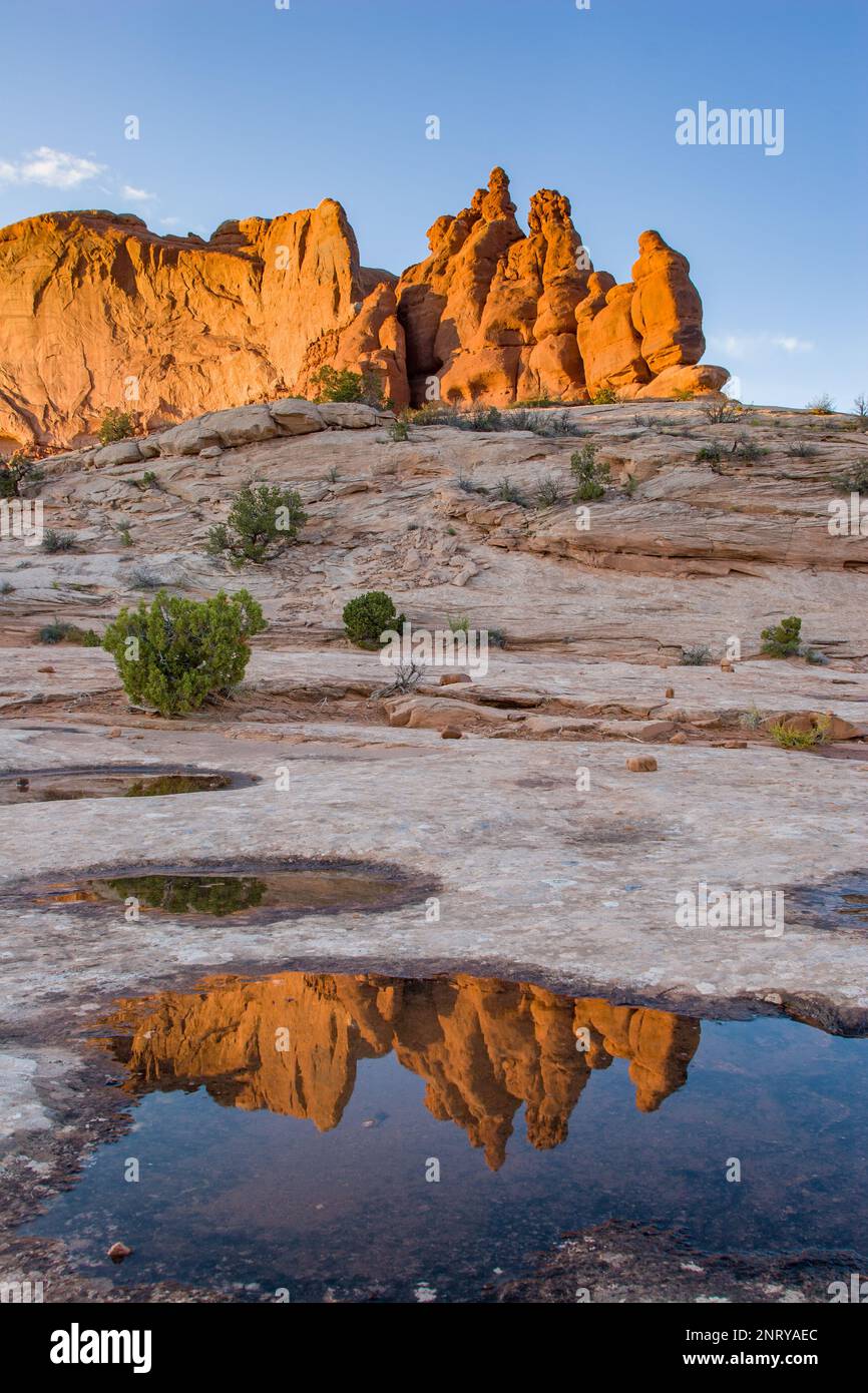 Die Entrada-Sandsteinformationen der Navajo-Felsen spiegeln sich in einem temporären Pool in Navajo-Sandstein bei Moab, Utah, wider. Stockfoto