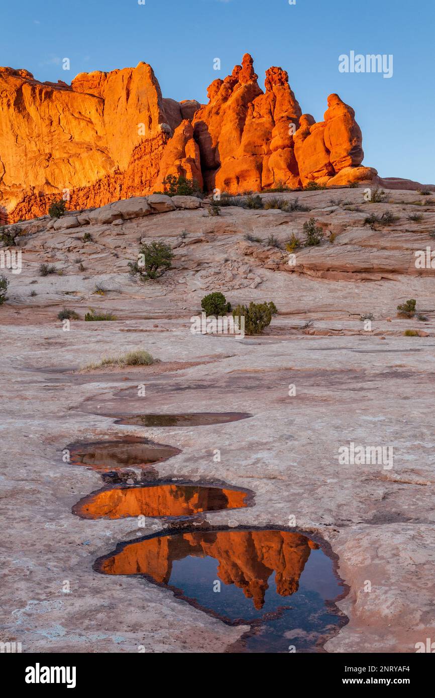 Die Entrada-Sandsteinformationen der Navajo-Felsen spiegeln sich in temporären Pools in Navajo-Sandstein bei Moab, Utah, wider. Stockfoto