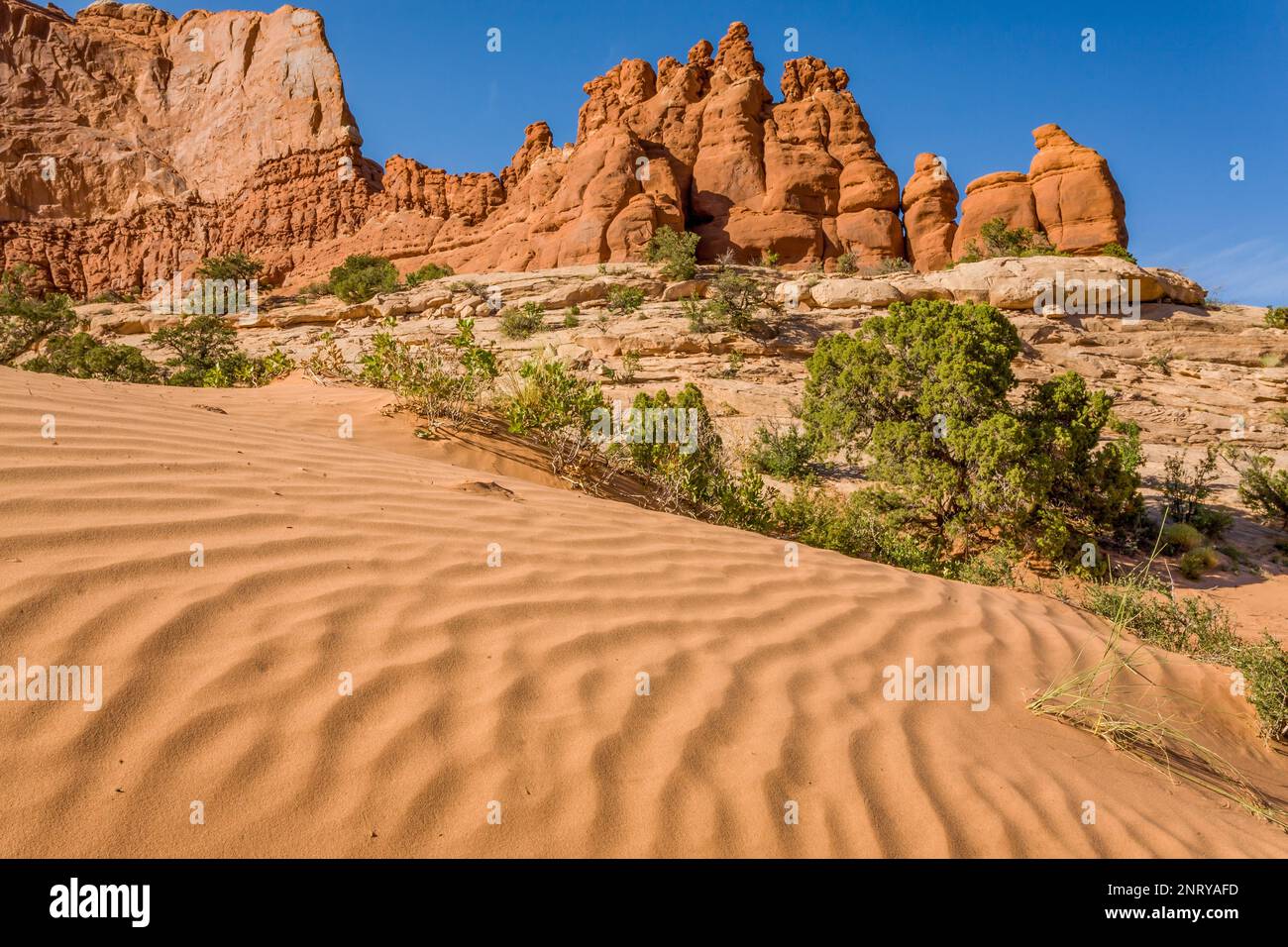 Wellen im Sand vor den Entrada Sandsteinformationen der Navajo Rocks bei Moab, Utah. Stockfoto