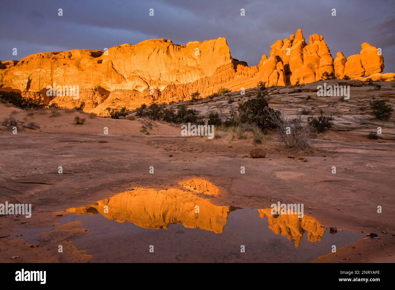 Die Entrada-Sandsteinformationen der Navajo-Felsen spiegeln sich in einem temporären Pool in Navajo-Sandstein bei Moab, Utah, wider. Stockfoto
