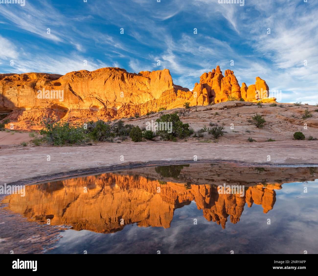 Die Entrada-Sandsteinformationen der Navajo-Felsen spiegeln sich in einem temporären Pool in Navajo-Sandstein bei Moab, Utah, wider. Stockfoto