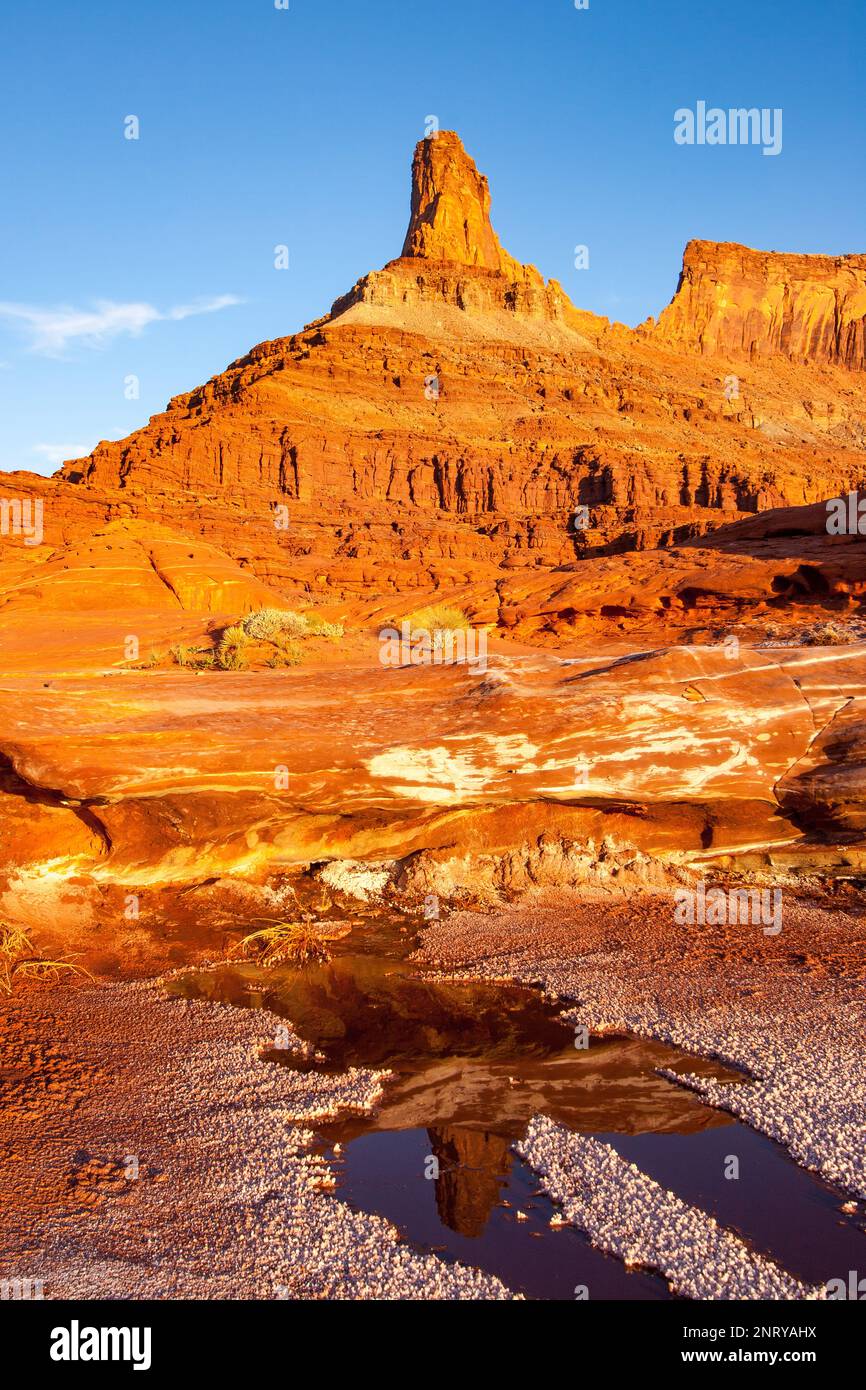 Ein Sandstein butte spiegelt sich im Wasser eines Mineral Seep wider, wobei sich am Rand Mineralsalzkristalle bilden. Stockfoto