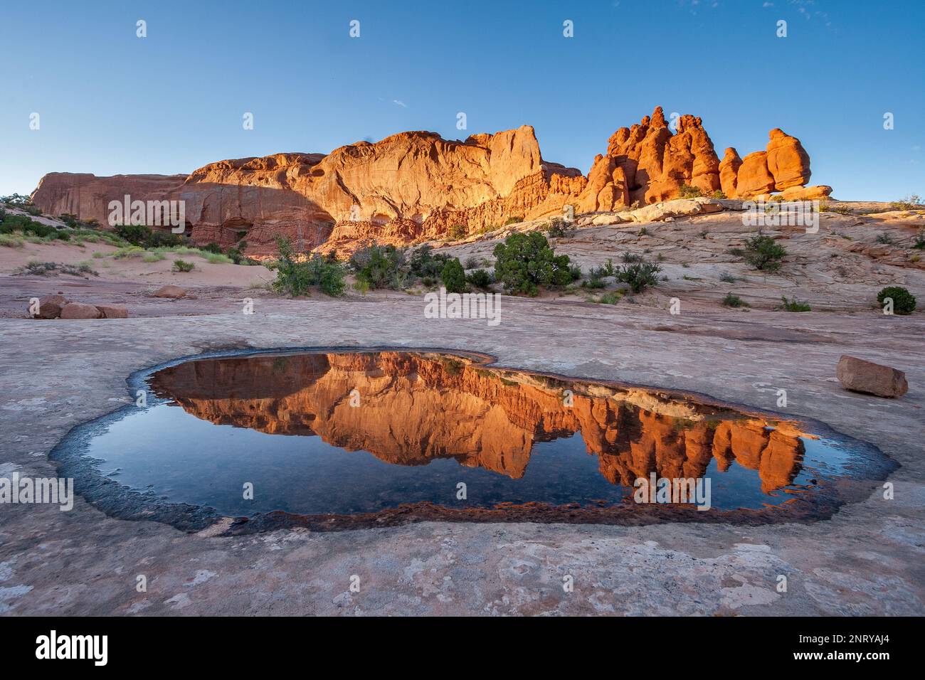 Die Entrada-Sandsteinformationen der Navajo-Felsen spiegeln sich in einem temporären Pool in Navajo-Sandstein bei Moab, Utah, wider. Stockfoto