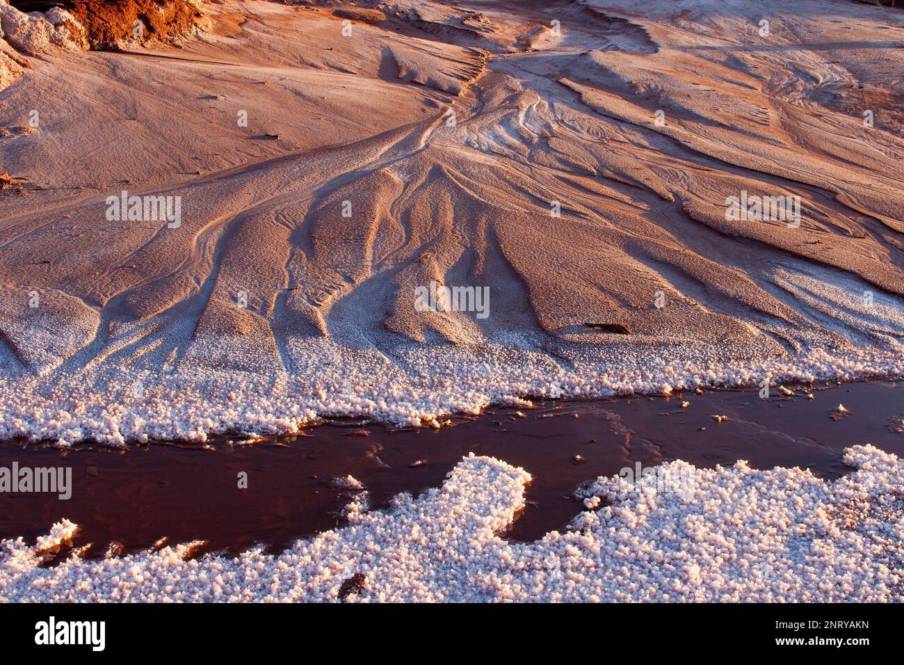 Kalium- und Salzkristalle bilden sich entlang des Randes eines Mineral Seep in der Nähe von Moab, Utah. Stockfoto