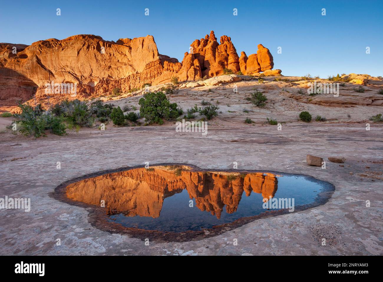 Die Entrada-Sandsteinformationen der Navajo-Felsen spiegeln sich in einem temporären Pool in Navajo-Sandstein bei Moab, Utah, wider. Stockfoto