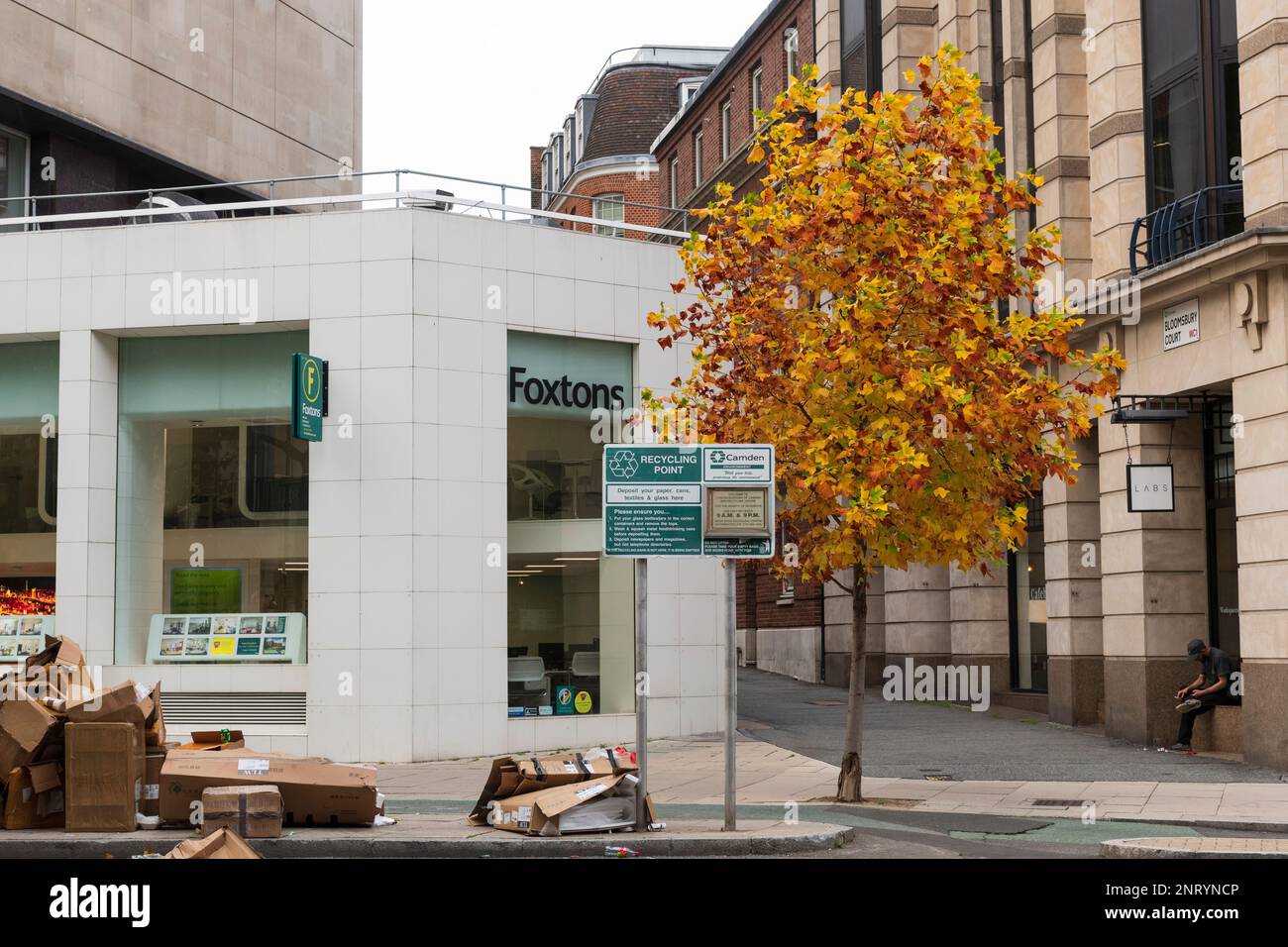 Müll neben einem urbanen Baum in Herbstfarbe, High Holborn, London, Großbritannien. 22. Okt. 2022 Stockfoto