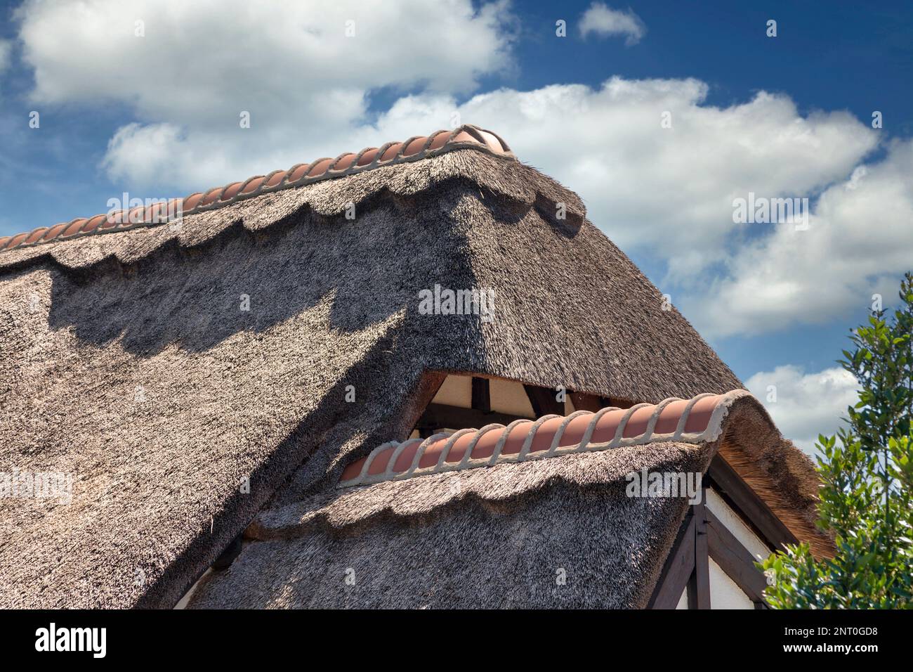 Nahaufnahme der Kante eines Strohdachs. Stockfoto