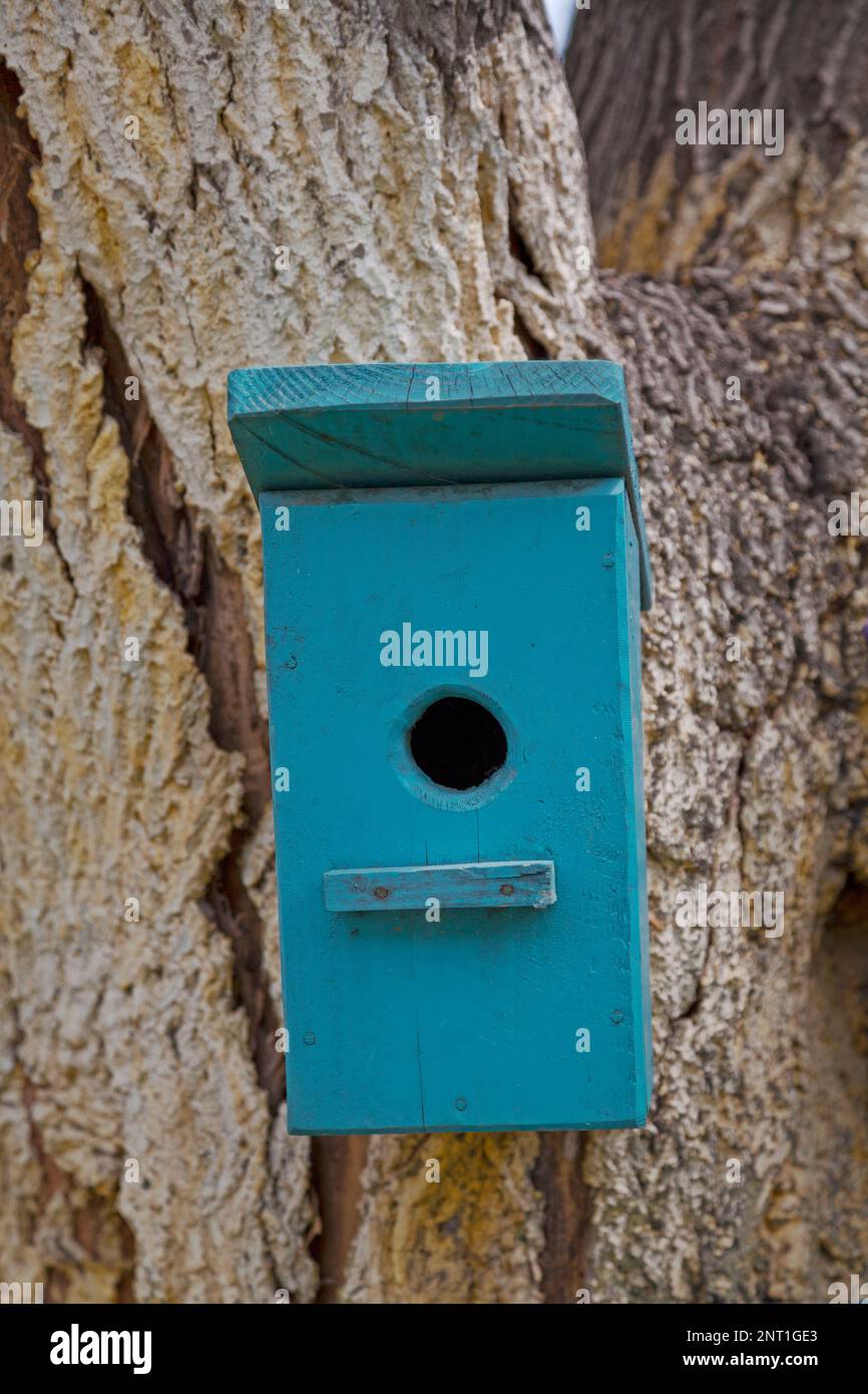 Blaues Vogelhaus auf einem Baum. Stockfoto