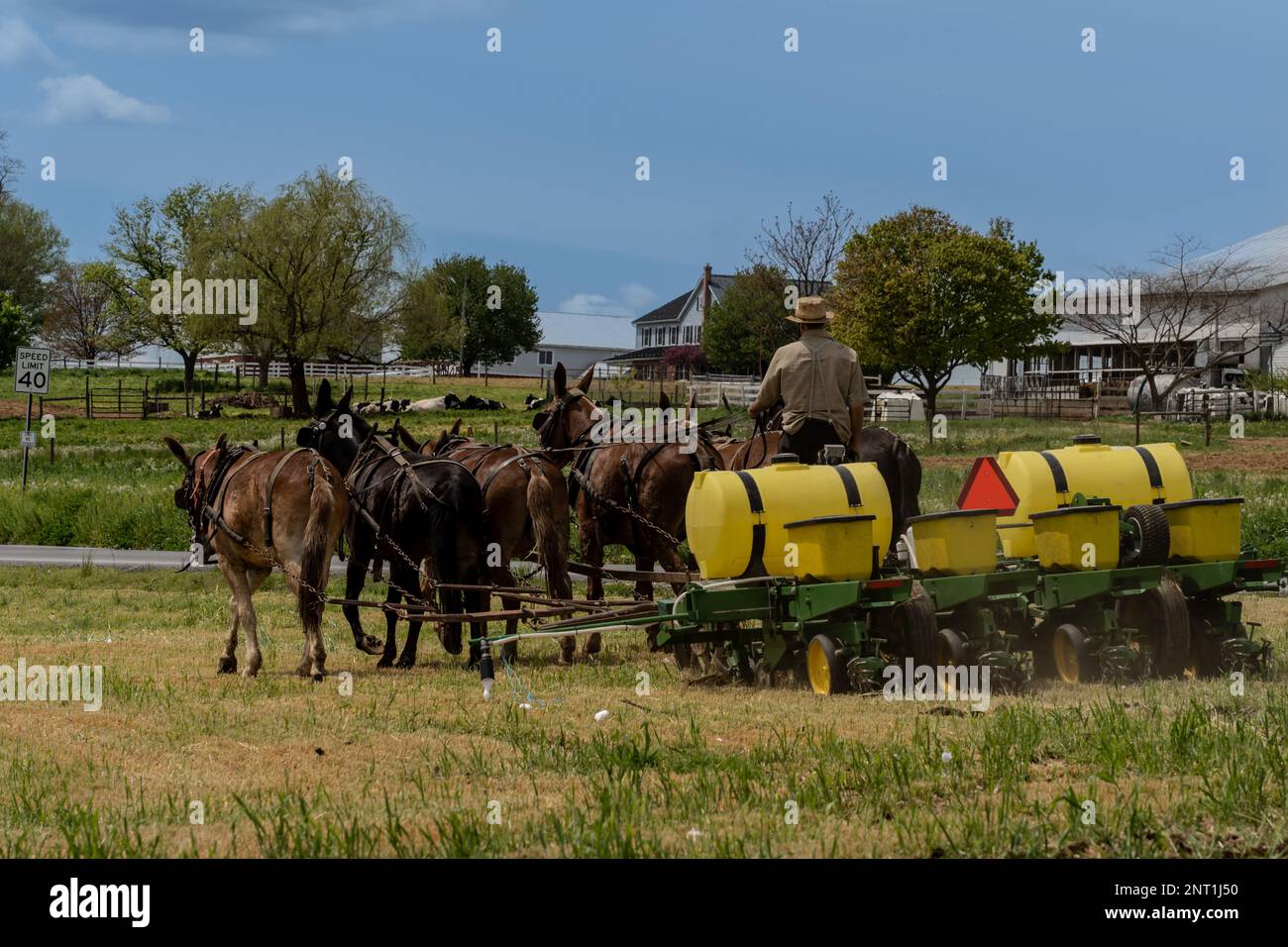 Ronks, Lancaster County, Pennsylvania – 5. Mai 2022: Amish Farmer mit Strohhut erntet im Spätsommer auf dem Bauernhof in Lancaster County, Pa Stockfoto