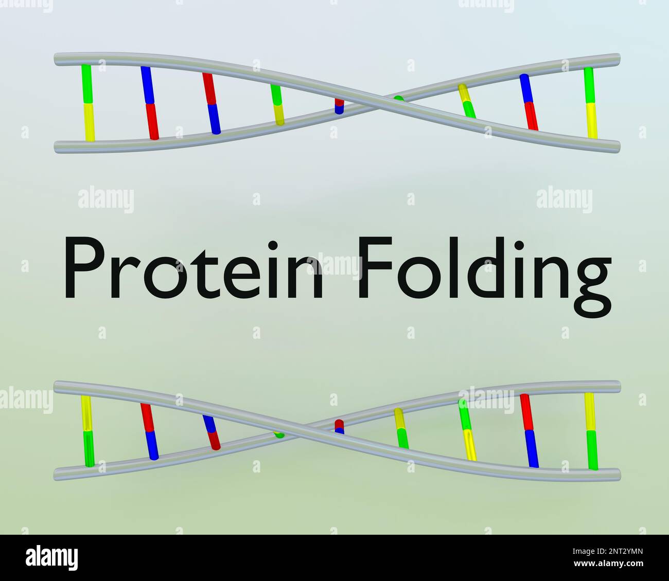 3D Darstellung des Proteinfaltungsskripts zwischen zwei DNA-Doppelhelixen. Stockfoto