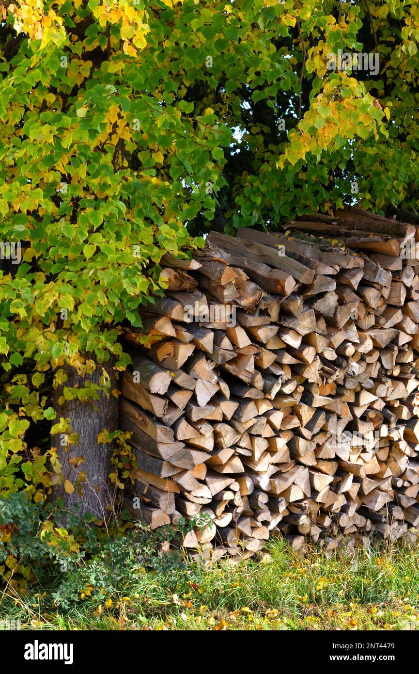 Energiekrise in europa mit steigenden Preisen: Holzhaufen mit frisch gestaffeltem und gehacktem Holz Stockfoto