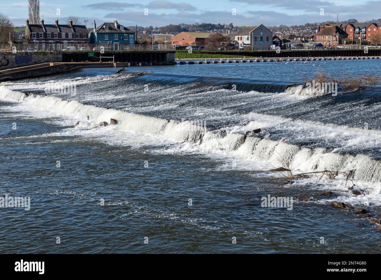 Trews Wehr im Fluss exe in Exeter Stockfoto