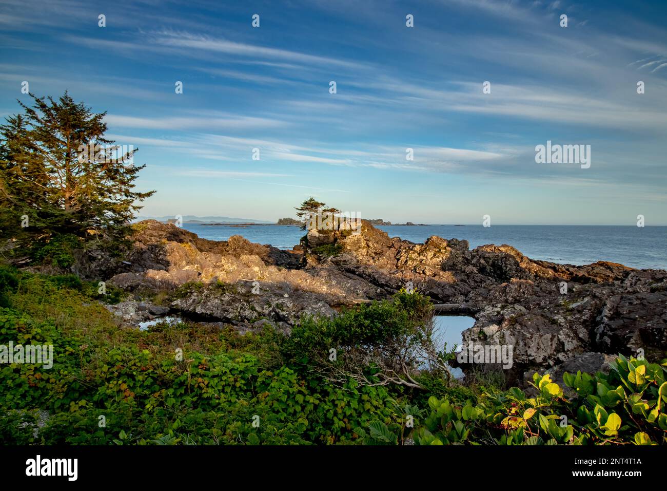 Ruhiger Pazifik in der Nähe des Leuchtturms, Ucluelet, Vancouver Island, BC, Kanada Stockfoto