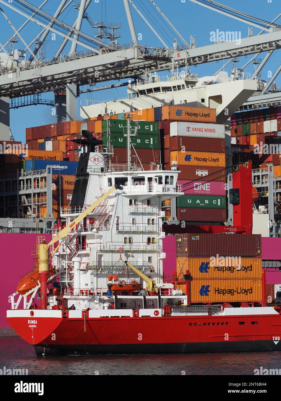 Großes rosa Containerschiff vom japanischen ONE Ocean Network Express mit einem kleinen Containerschiff daneben im Hafen von Rotterdam, Niederlande Stockfoto