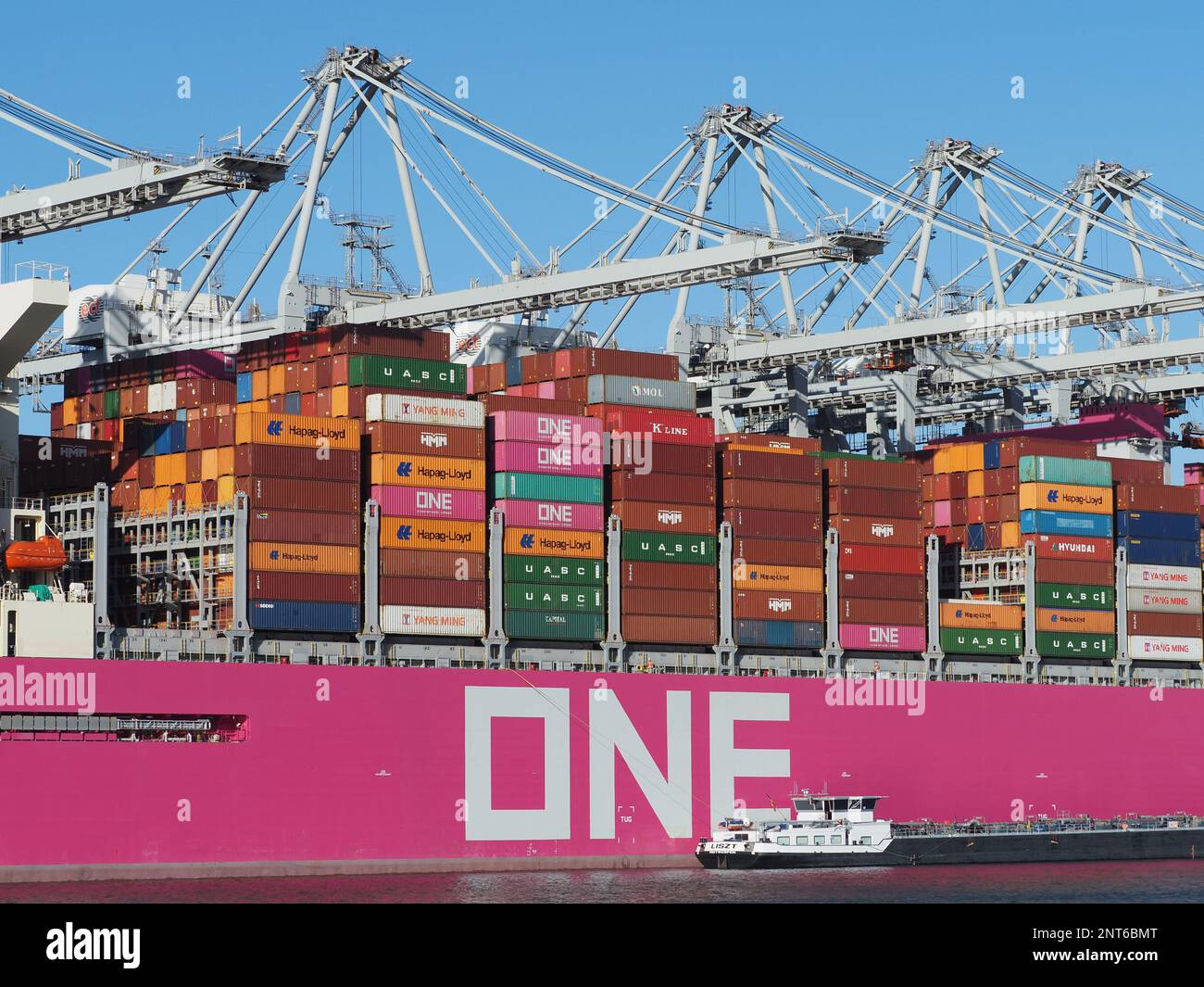 Großes rosa Containerschiff vom japanischen ONE Ocean Network Express mit einem kleinen Tankschiff daneben im Hafen von Rotterdam, Niederlande Stockfoto