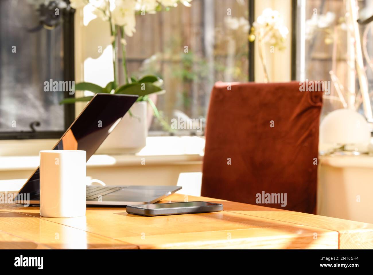 Laptop-Computer, der in einem hellen Raum mit Tageslicht durch das Fenster aufgestellt werden kann, um zu Hause zu arbeiten Stockfoto