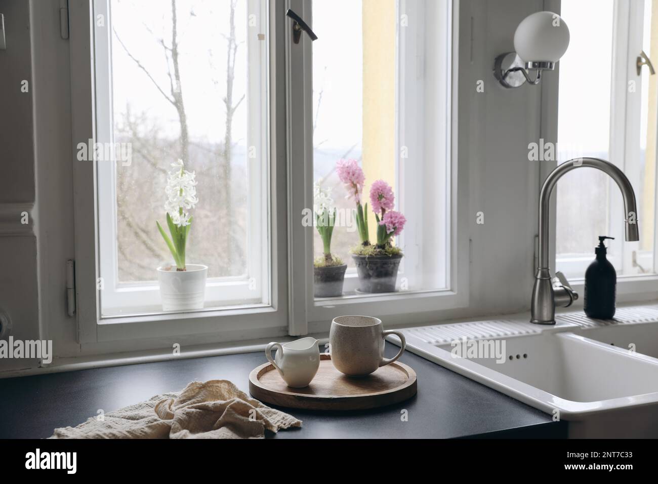 Moody Frühlingsfrühstück Stillleben. Eine Tasse Kaffee, ein Milchkrug auf einem Holztablett. Unscharfer Fensterhintergrund. Keramikwaschbecken im Vintage-Stil und rosa Hyazinth Stockfoto
