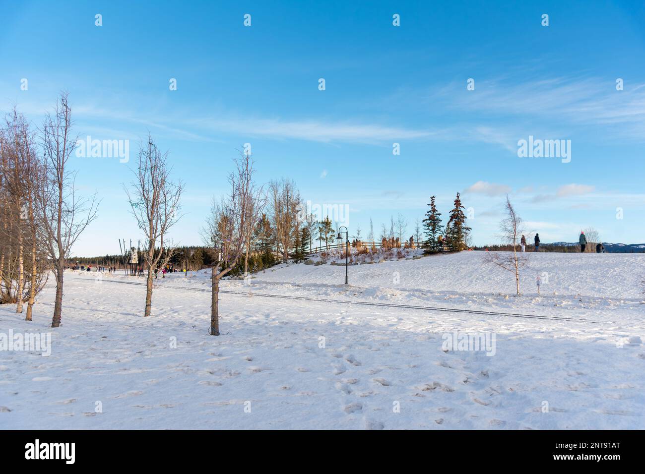 Shipping Yards Park in der Wintersaison am Tag des blauen Himmels im Zentrum von Whitehorse, Yukon Territory, Kanada. Stockfoto