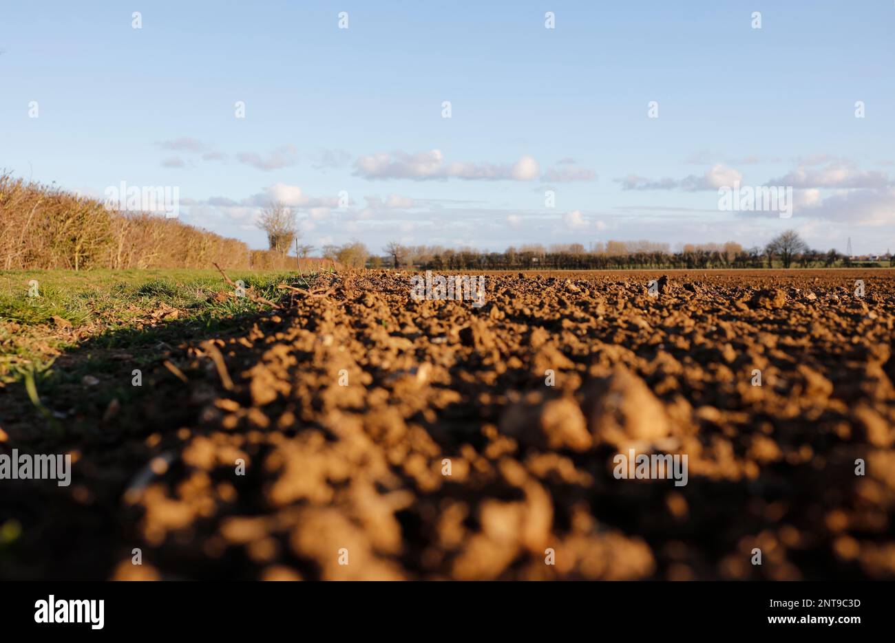 Ackerfeldränder für die Nutzbarmachung von Wildtieren und landwirtschaftlichen Feldanbau Stockfoto