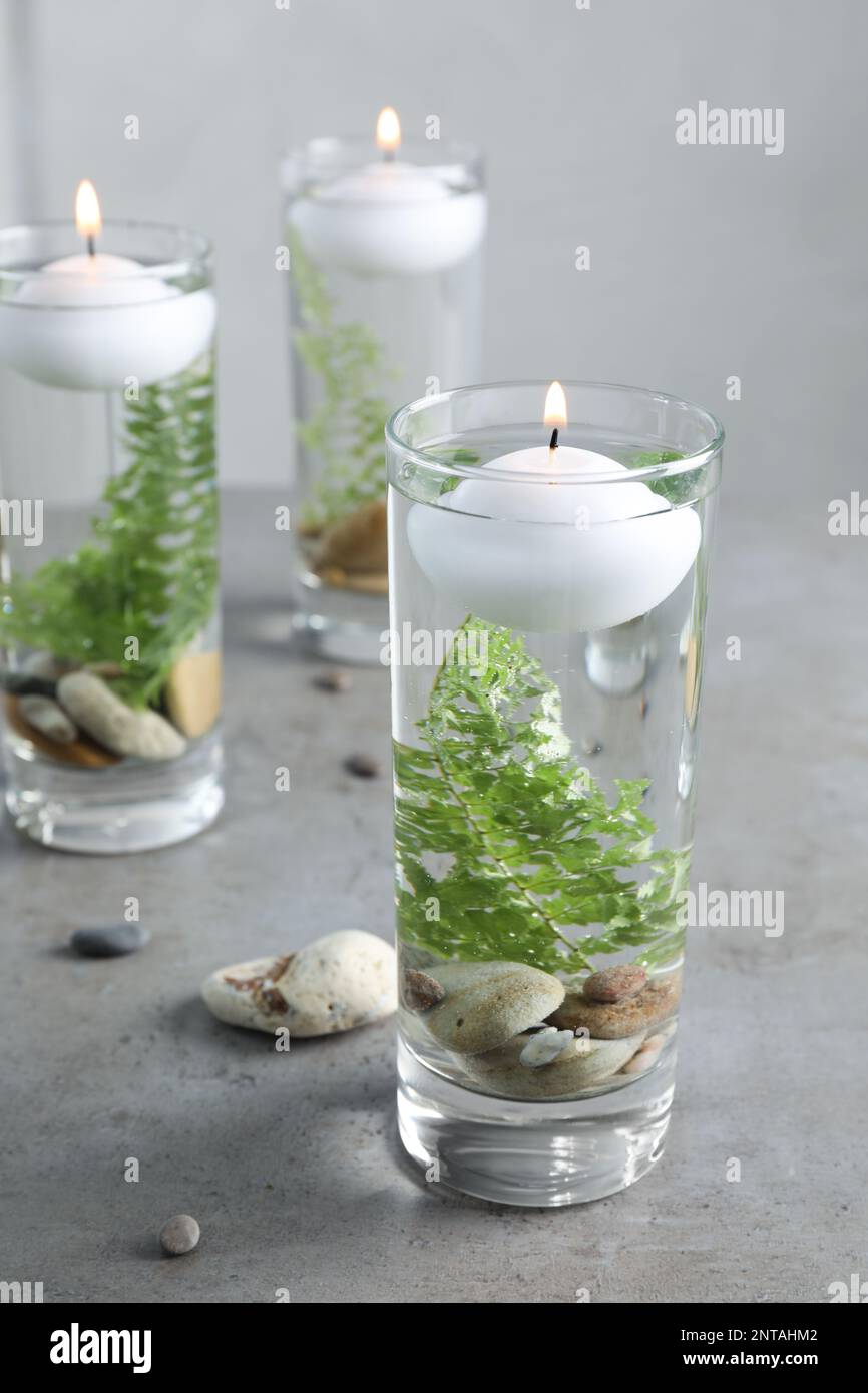aquarium kunstpflanzen set Terrarium DIY Set - Kreiere dein eigenes Mini-kosystem