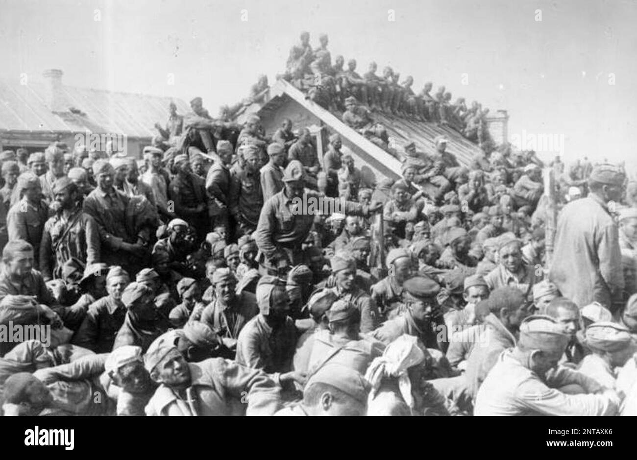 Sowjetische Kriegsgefangene, die während der Operation Barbarossa in ein überfülltes Transitlager bei Smolensk gestopft wurden. Die Nazis verhungerten systematisch und vernachlässigten russische Kriegsgefangene, als sie slawische Untermenschen galten. Schätzungsweise drei Millionen sowjetische Gefangene starben in Gefangenschaft. Photo Bundesarchiv, Bild 183-L28726/Markwardt/CC-BY-SA 3,0, CC BY-SA 3,0 de, https://commons.wikimedia.org/w/index.php?curid=5435079 Stockfoto