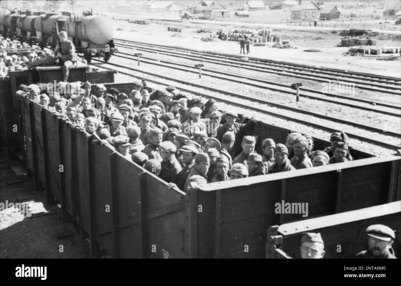 Sowjetische Kriegsgefangene, die während der Eröffnungsphase der Operation Barbarossa (September 1941) in einem offenen Wagenzug befördert wurden. Die Nazis verhungerten systematisch und vernachlässigten russische Kriegsgefangene, als sie slawische Untermenschen galten. Schätzungsweise drei Millionen sowjetische Gefangene starben in Gefangenschaft. Photo Bundesarchiv, Bild 101I-267-0124-20A/Vorpahl/CC-BY-SA 3,0, CC BY-SA 3,0 de, https://commons.wikimedia.org/w/index.php?curid=5476739 Stockfoto