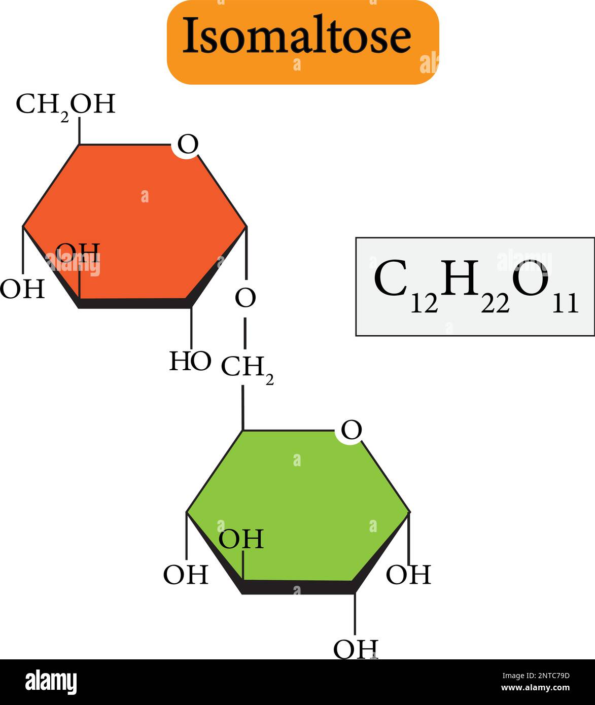Isomaltose ist ein einfaches Kohlenhydrat, ein Disaccharid, das aus zwei Glucosemolekülen besteht, die mit einer alpha (1,6)-Glykosidbindung verbunden sind [1,2]. Stock Vektor