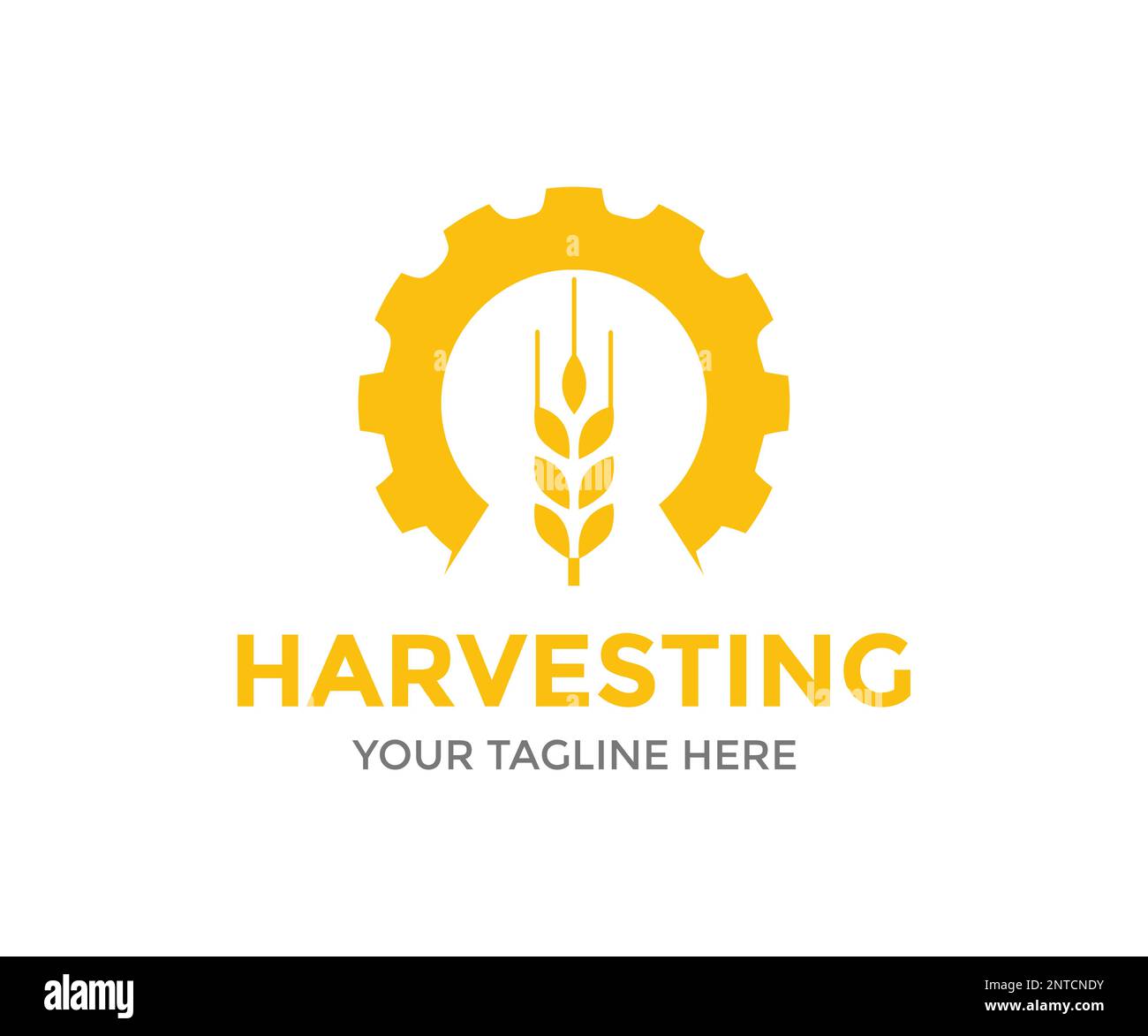 Gelbe Weizenohren und Zahnräder, hochwertiges Agrarprodukt in Goldfarbe. Logo für Landwirtschaft, Weizen, Gerste. Weizenbrotlandwirtschaft. Stock Vektor