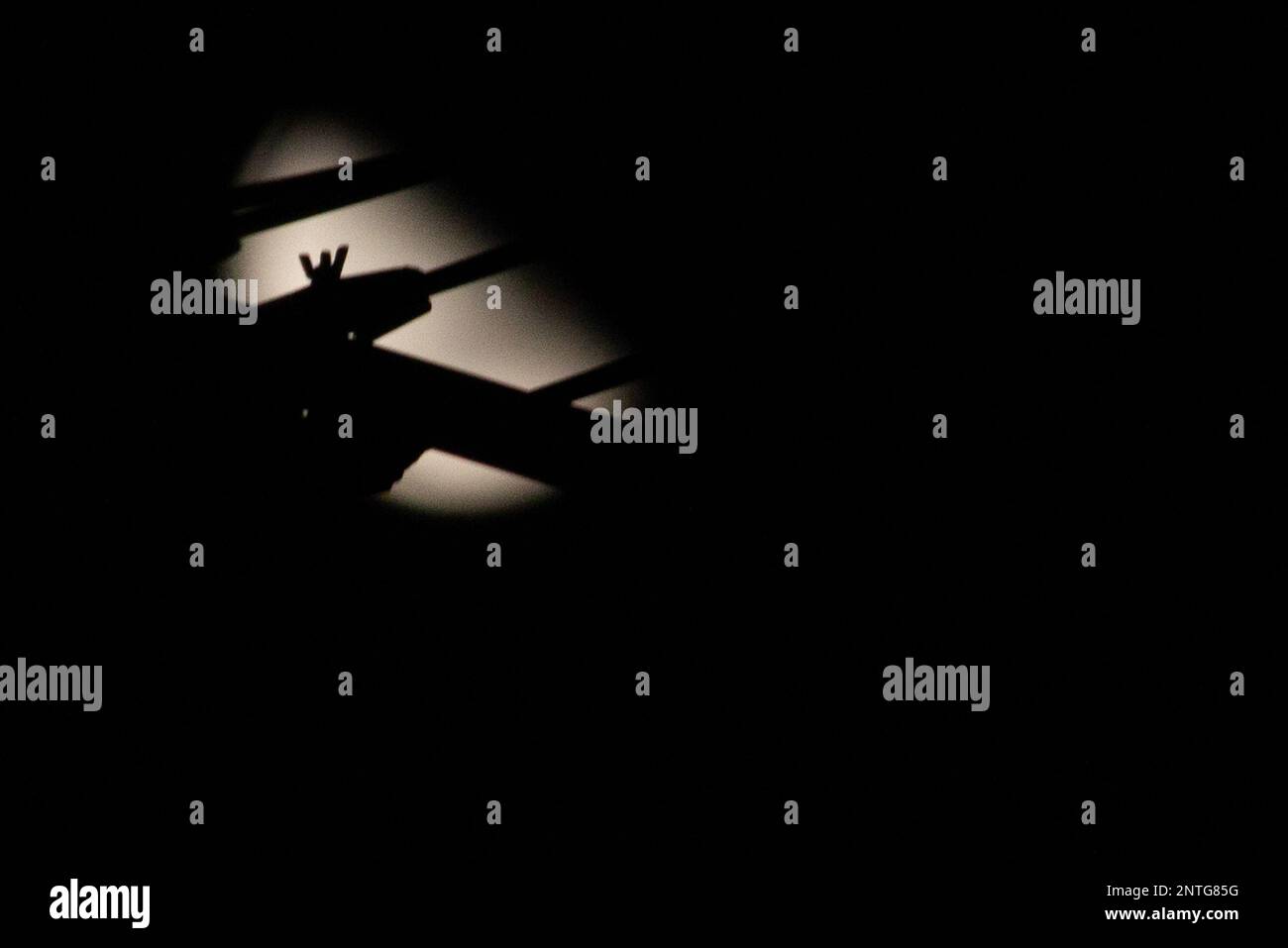 Rio de Janeiro, Rio de Janeiro, Brasilien. 27. Februar 2023. (INT) der Halbmond in Rio de Janeiro. 27. Februar 2023, Rio de Janeiro, Brasilien: Der Halbmond ist die Phase, in der der Mond einen Winkel von 90Ã‚Â Ã‚Â¼° zur Erde bildet und wir von seiner Oberfläche sehen können. Die Form des Mondes ist halbkreisförmig, und die Seite des Mondes, die in dieser Phase erscheint, hängt davon ab, von welcher Hemisphäre der Beobachter sie sieht. Im Falle der südlichen Hemisphäre ist der konvexe Teil des Mondes nach Westen gerichtet.Kredit: Erica Martin/Thenews2 (Kredit: © Erica Martin/TheNEWS2 via ZU Stockfoto