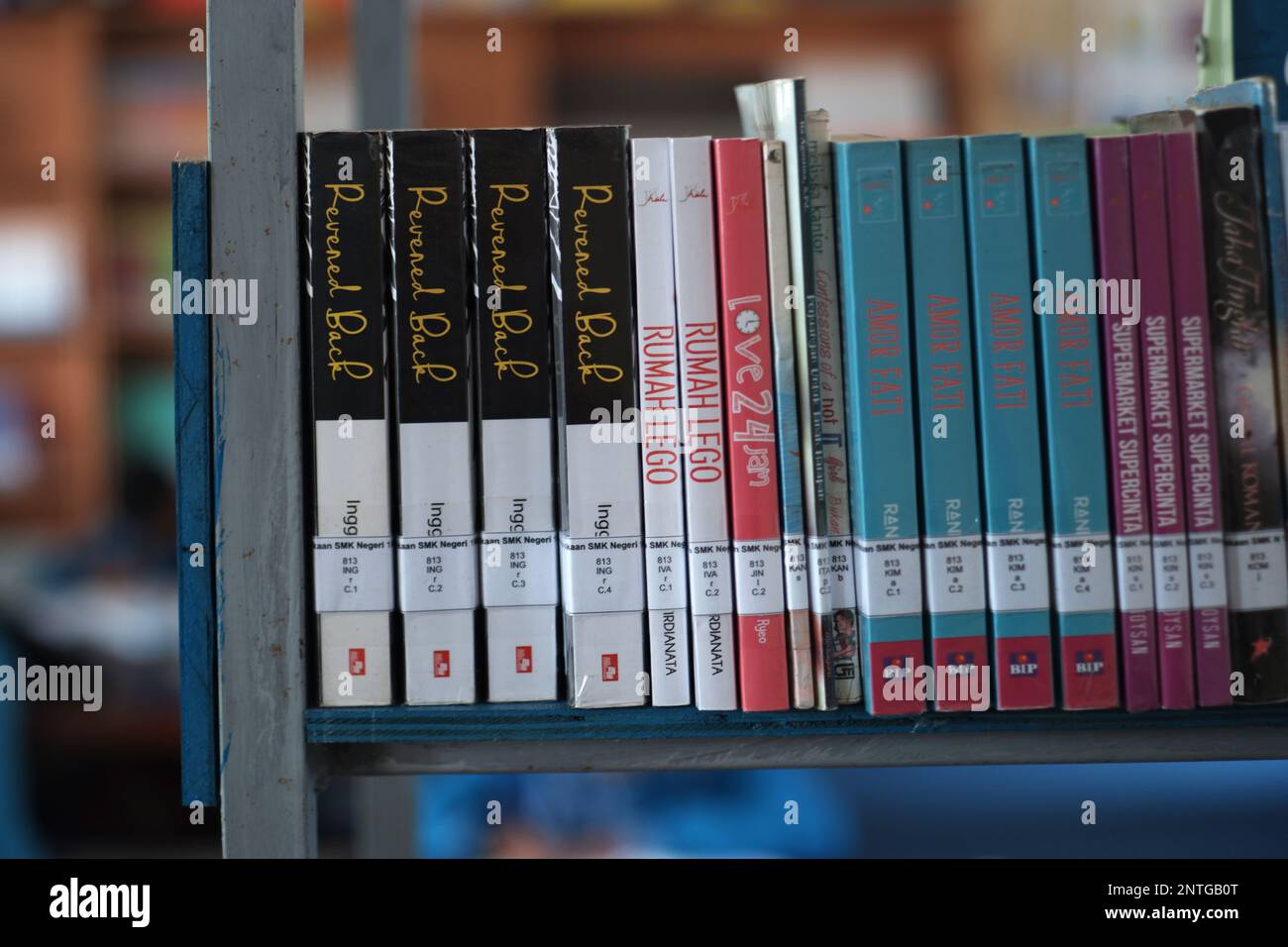 Ein genauer Blick auf die Anordnung von Lehrbüchern mit farbenfrohen Einbänden am Ende des Regals Stockfoto
