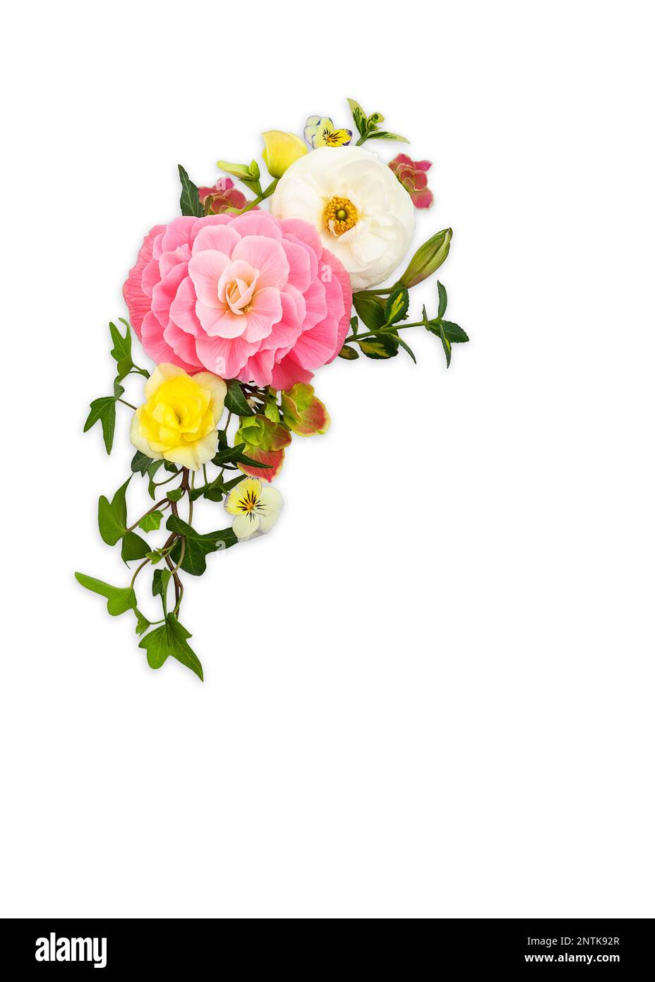 Blumenfeder-Anordnung auf weißem Hintergrund. Strauß aus Rosen, Ranunculus, Veilchen und Hortensien. Stockfoto