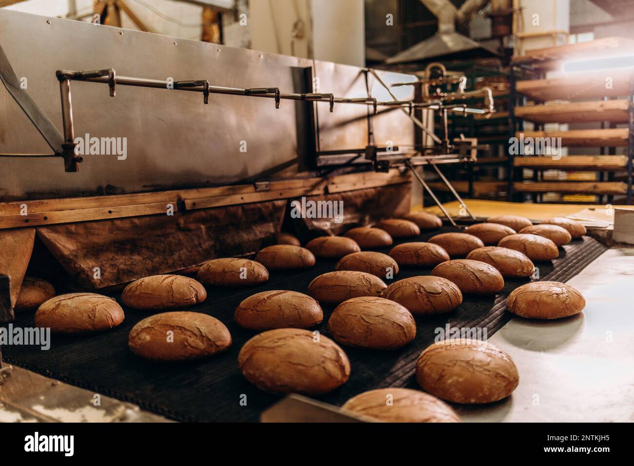 Automatische Backwarenproduktionslinie mit süßen Keksen auf Förderbandmaschinen in der Süßwarenfabrik, industrielle Lebensmittelproduktion Stockfoto