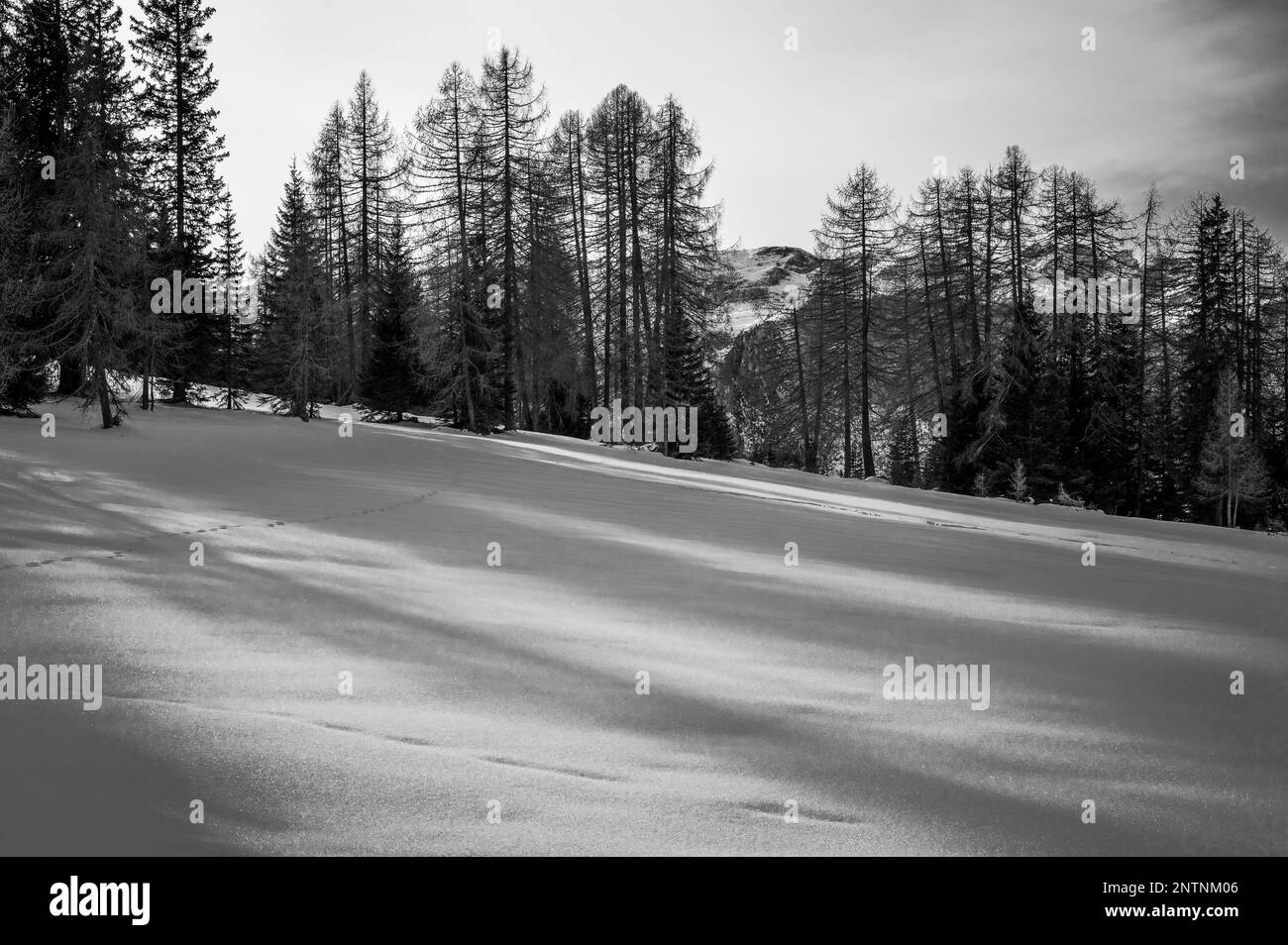 Alta Val Badia im Winter. Das Dorf La Val, umgeben von den Dolomiten Stockfoto