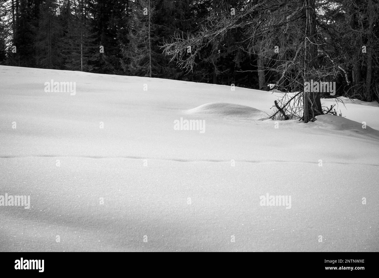 Alta Val Badia im Winter. Das Dorf La Val, umgeben von den Dolomiten Stockfoto